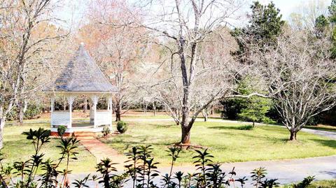 2380 Beeks Rd, Williamson, GA 30292 photo 9