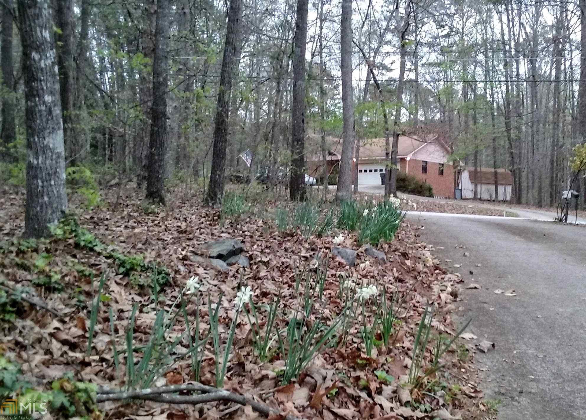485 Anthony Dr, Tyrone, GA 30290 photo 5