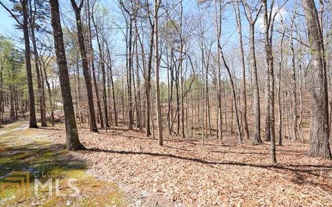 80 Walton Crk, Toccoa, GA 30577 photo 29