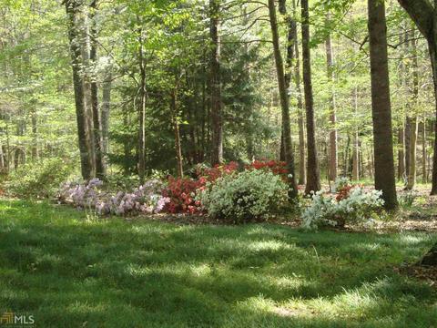 80 Walton Crk, Toccoa, GA 30577 photo 33