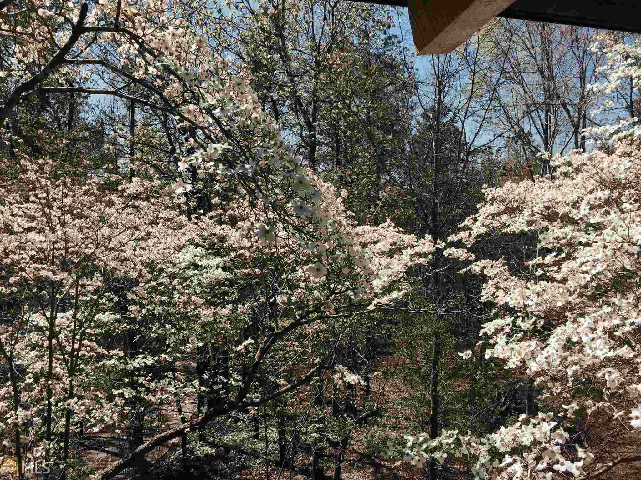 1101 Van Dell Dr, Rock Spring, GA 30739 photo 1