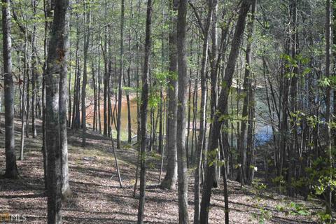 115 Riverview Dr, Lagrange, GA 30240 photo 25