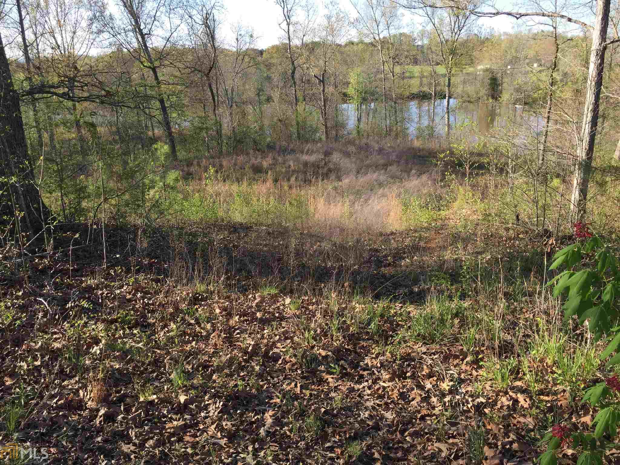7042 Blacks Blf, Cave Spring, GA 30124 photo 2