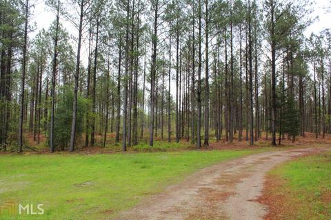 4179 Broad Rd, Tignall, GA 30668 photo 32