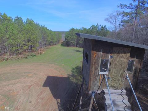 4179 Broad Rd, Tignall, GA 30668 photo 34
