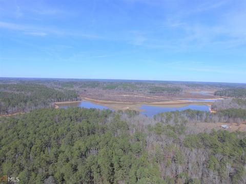 4179 Broad Rd, Tignall, GA 30668 photo 6