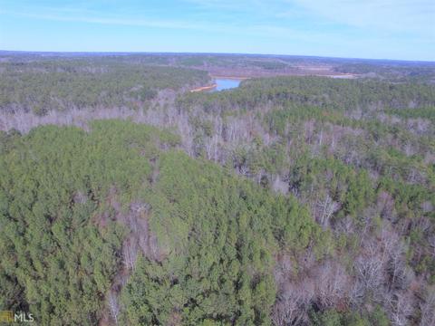 4179 Broad Rd, Tignall, GA 30668 photo 5