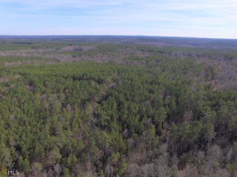 4179 Broad Rd, Tignall, GA 30668 photo 7