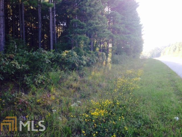 1050 Corinth Five Points Rd, Buchanan, GA 30113 photo 3