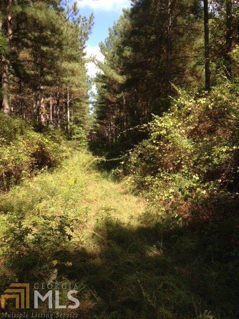 1050 Corinth Five Points Rd, Buchanan, GA 30113 photo 6
