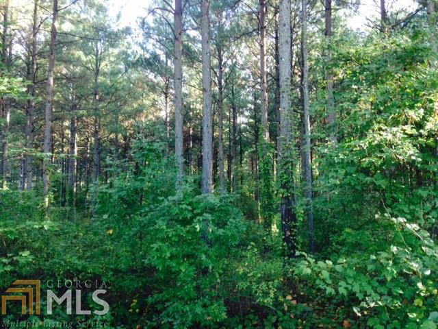 1050 Corinth Five Points Rd, Buchanan, GA 30113 photo 4