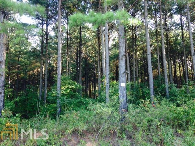 1050 Corinth Five Points Rd, Buchanan, GA 30113 photo 1