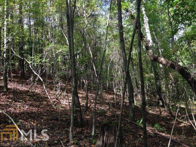 1050 Corinth Five Points Rd, Buchanan, GA 30113 photo 10