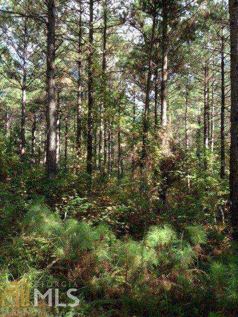 1050 Corinth Five Points Rd, Buchanan, GA 30113 photo 7