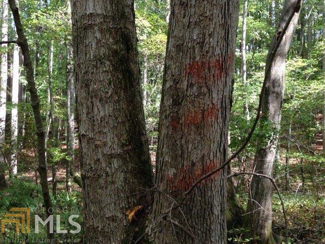 1050 Corinth Five Points Rd, Buchanan, GA 30113 photo 11