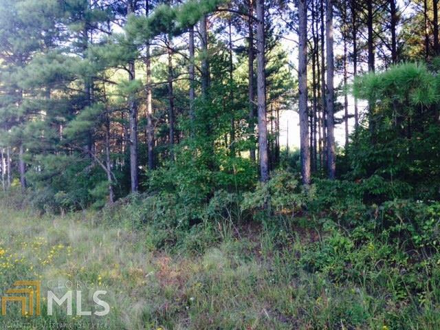 1050 Corinth Five Points Rd, Buchanan, GA 30113 photo 2