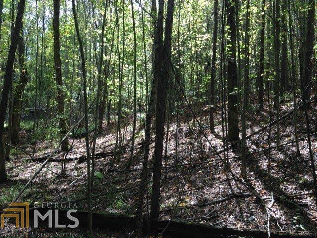 1050 Corinth Five Points Rd, Buchanan, GA 30113 photo 9