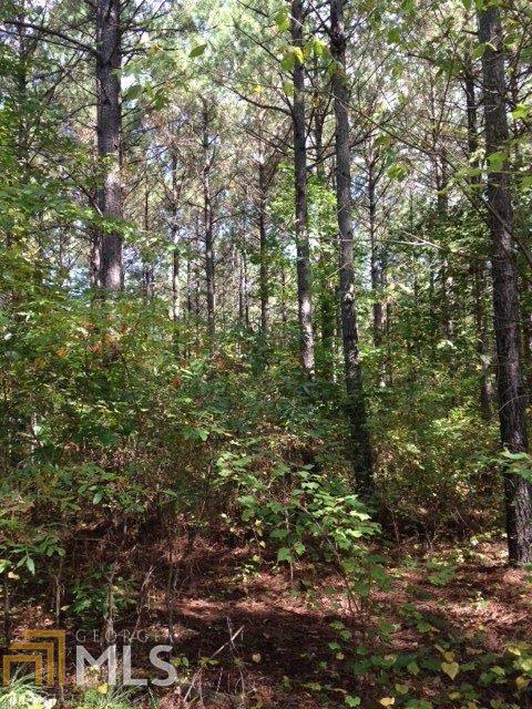1050 Corinth Five Points Rd, Buchanan, GA 30113 photo 8