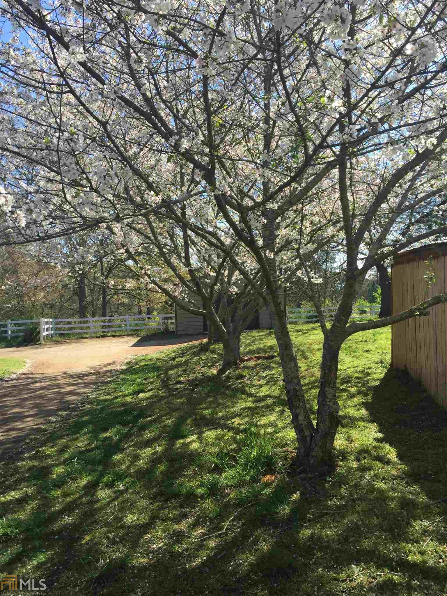 190 Wilson Rd, Covington, GA 30016 photo 34