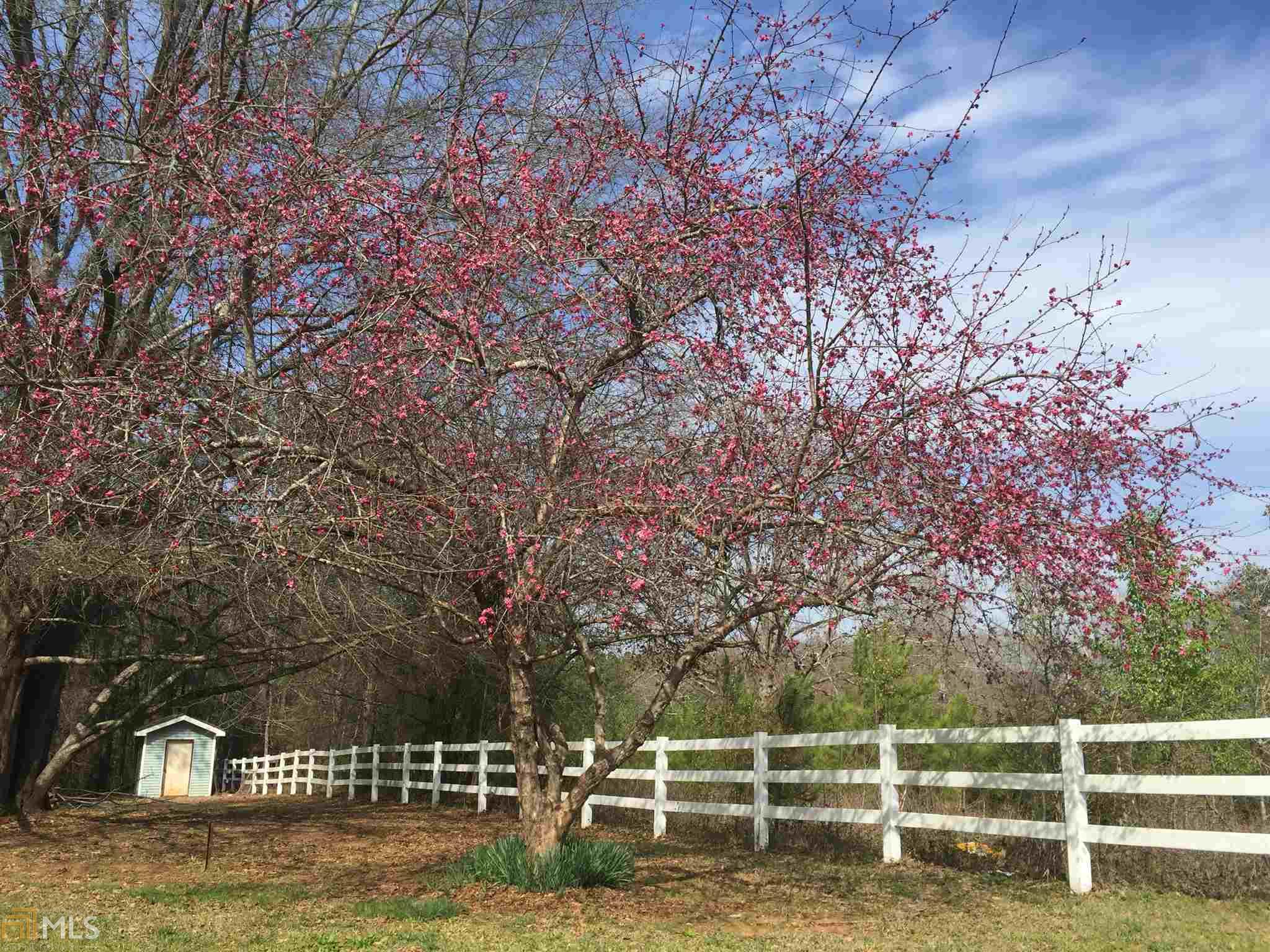 190 Wilson Rd, Covington, GA 30016 photo 35