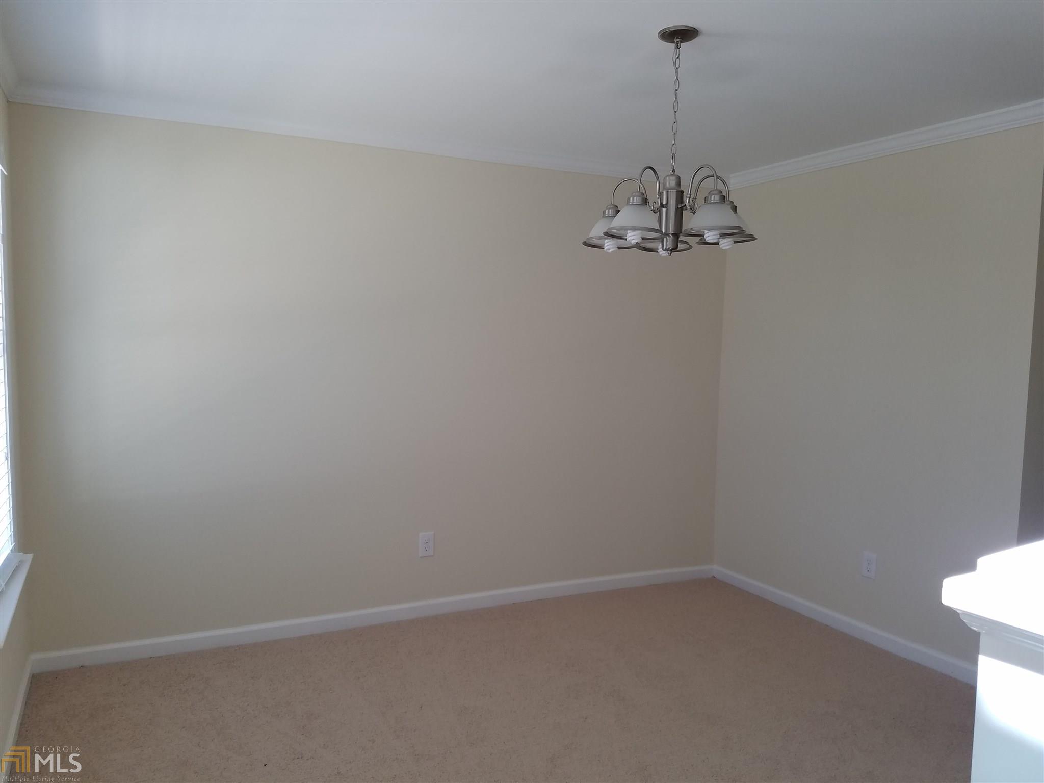 11014 Shadow Creek Ter, Hampton, GA 30228 photo 12