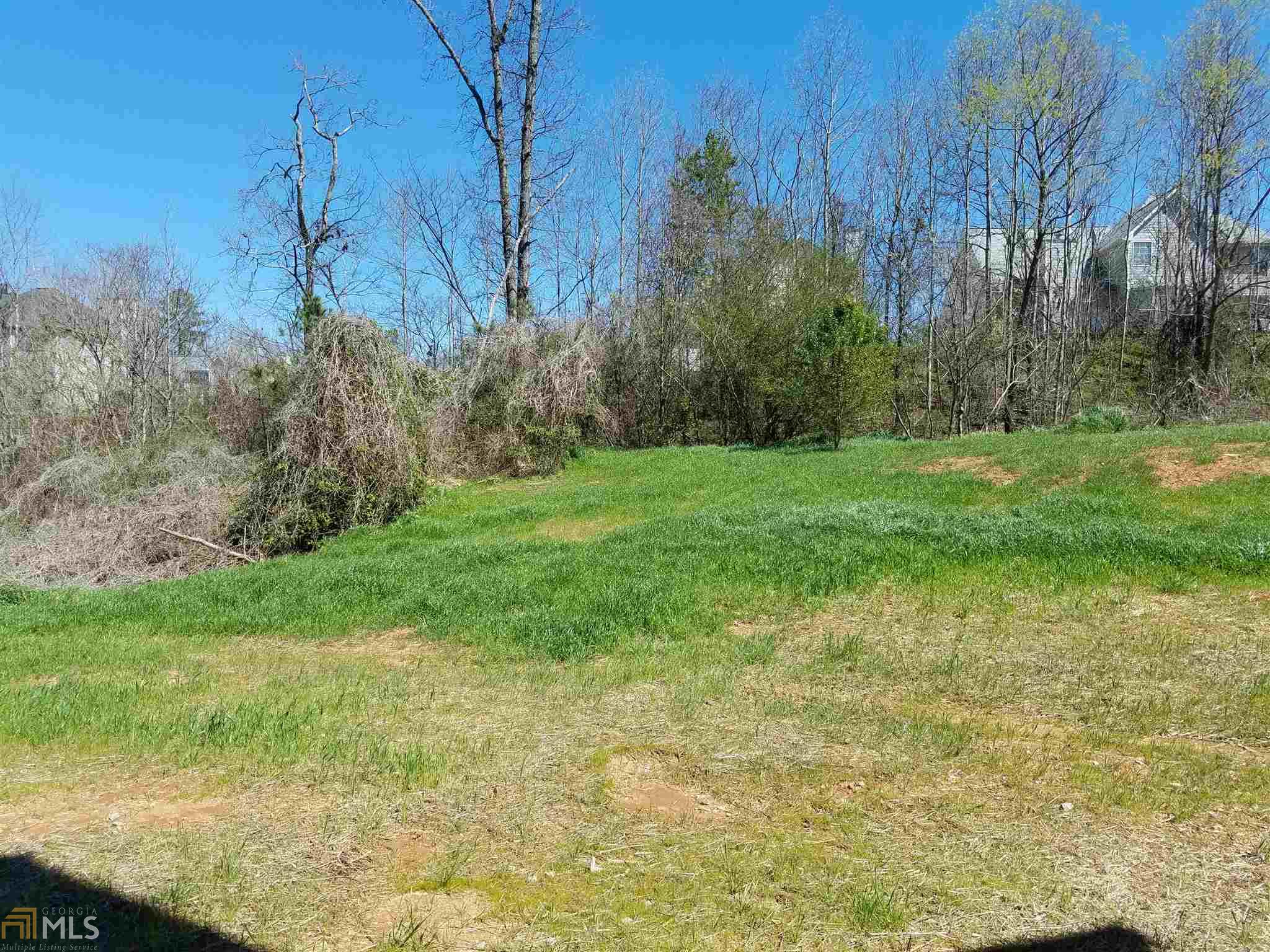 11014 Shadow Creek Ter, Hampton, GA 30228 photo 19