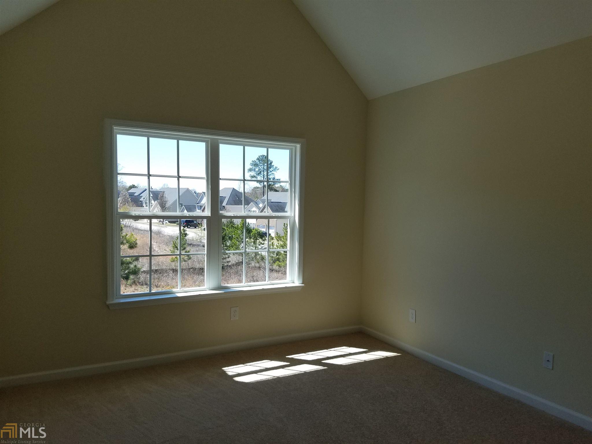 11014 Shadow Creek Ter, Hampton, GA 30228 photo 16