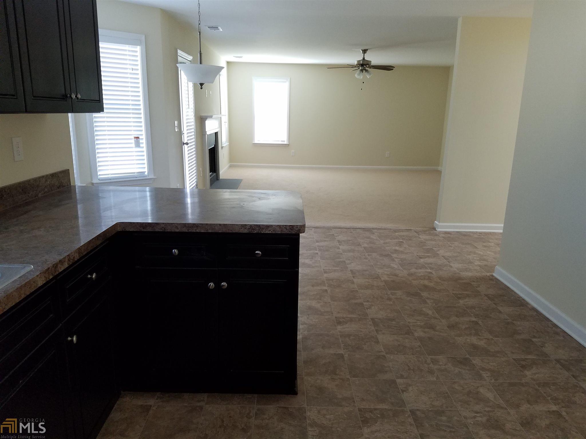 11014 Shadow Creek Ter, Hampton, GA 30228 photo 9