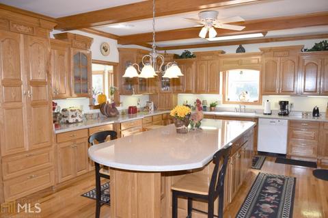 1042 Hicks Rd, Toccoa, GA 30577 photo 11