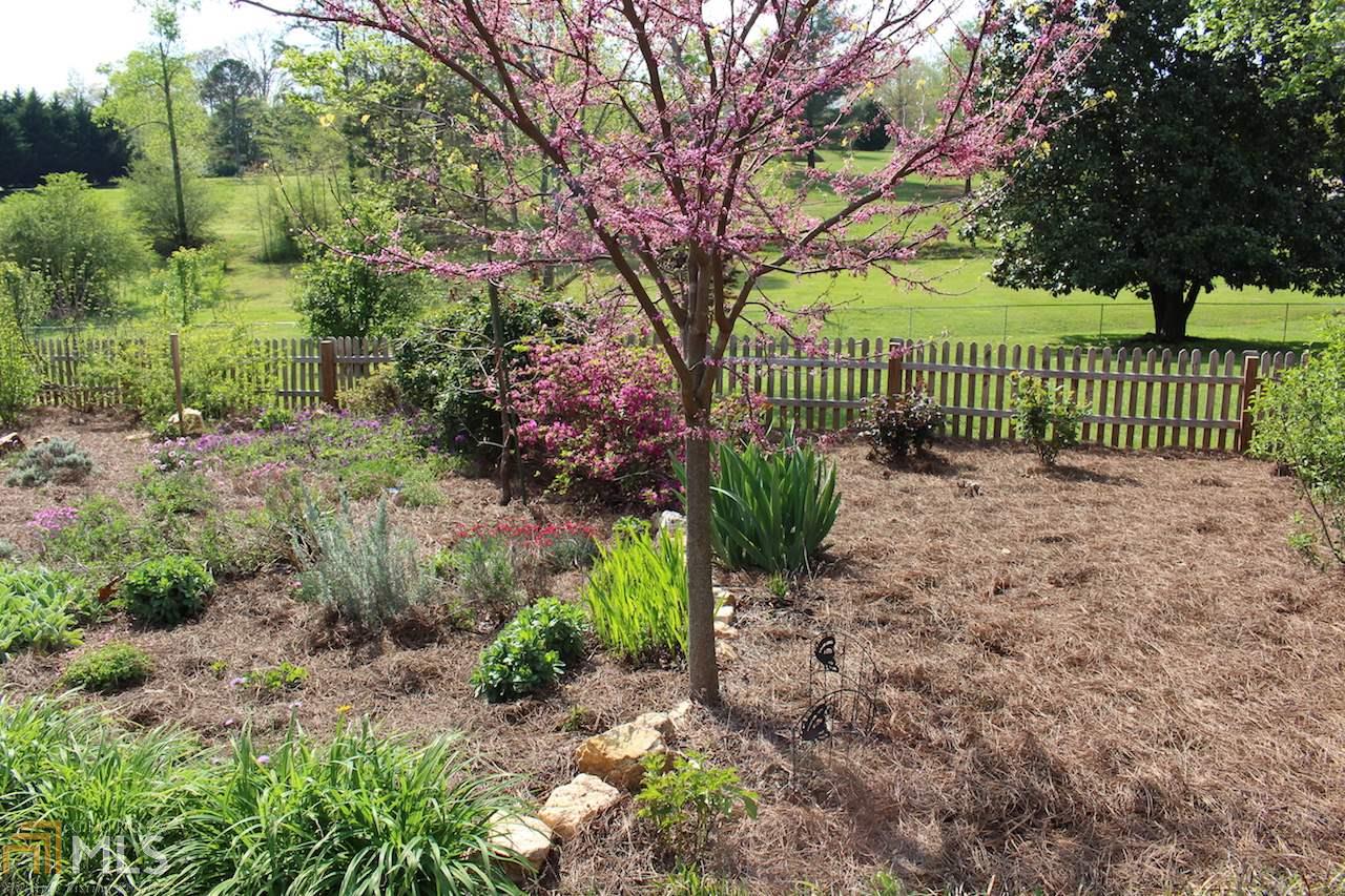 184 York Dr, Cornelia, GA 30531 photo 2