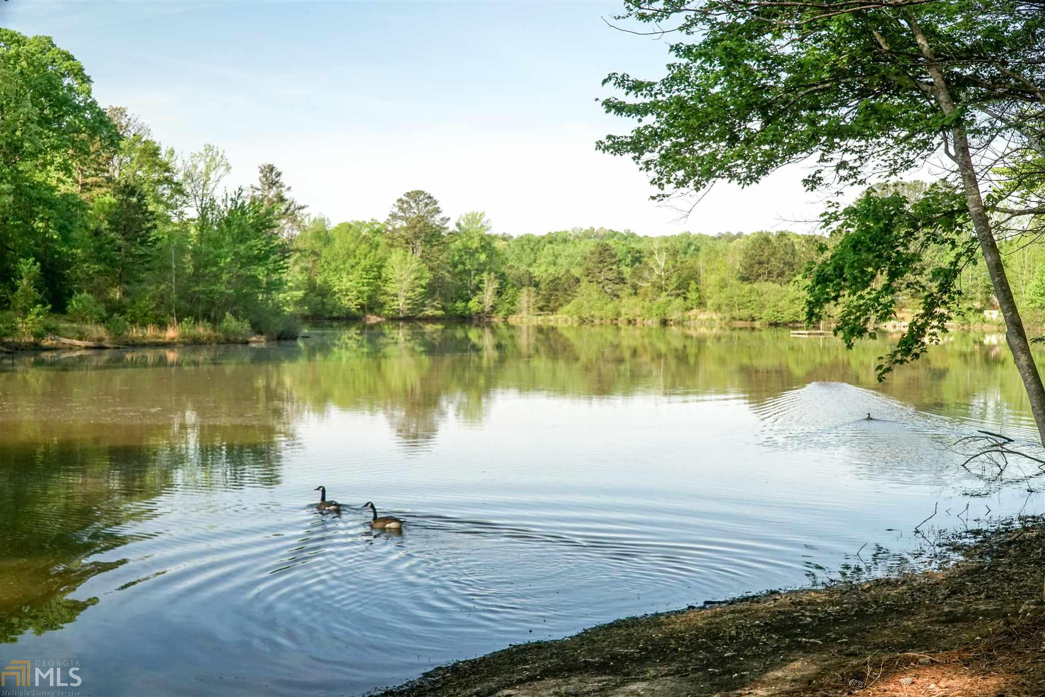 40 Lakeside Dr, Covington, GA 30016 photo 8