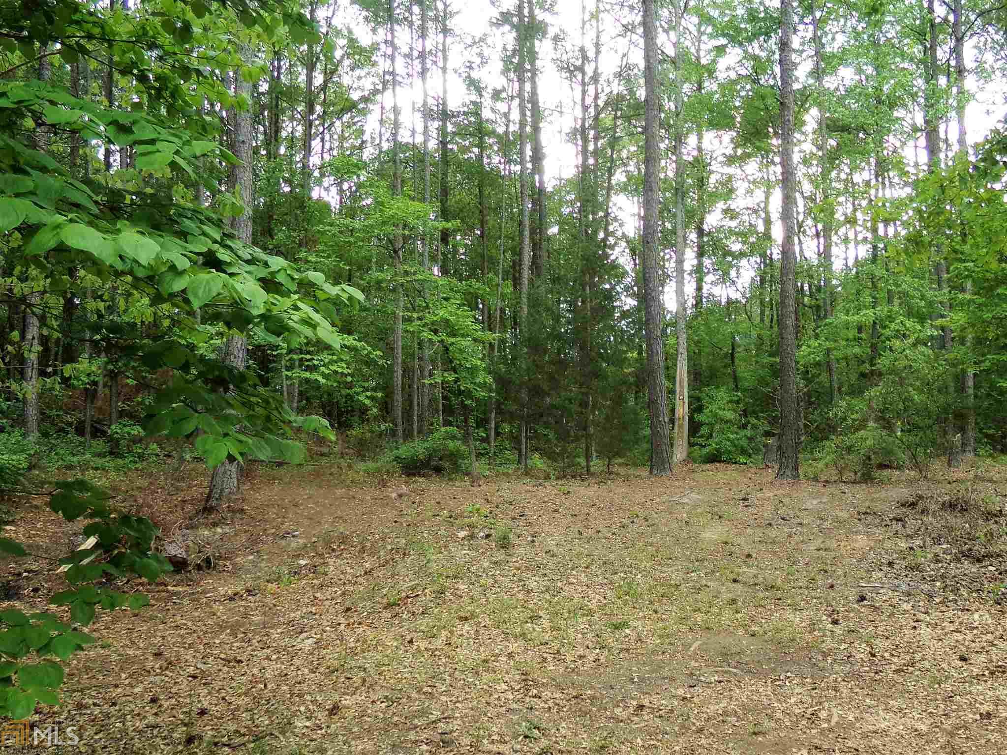 127 Fox Dr, Jackson, GA 30233 photo 8