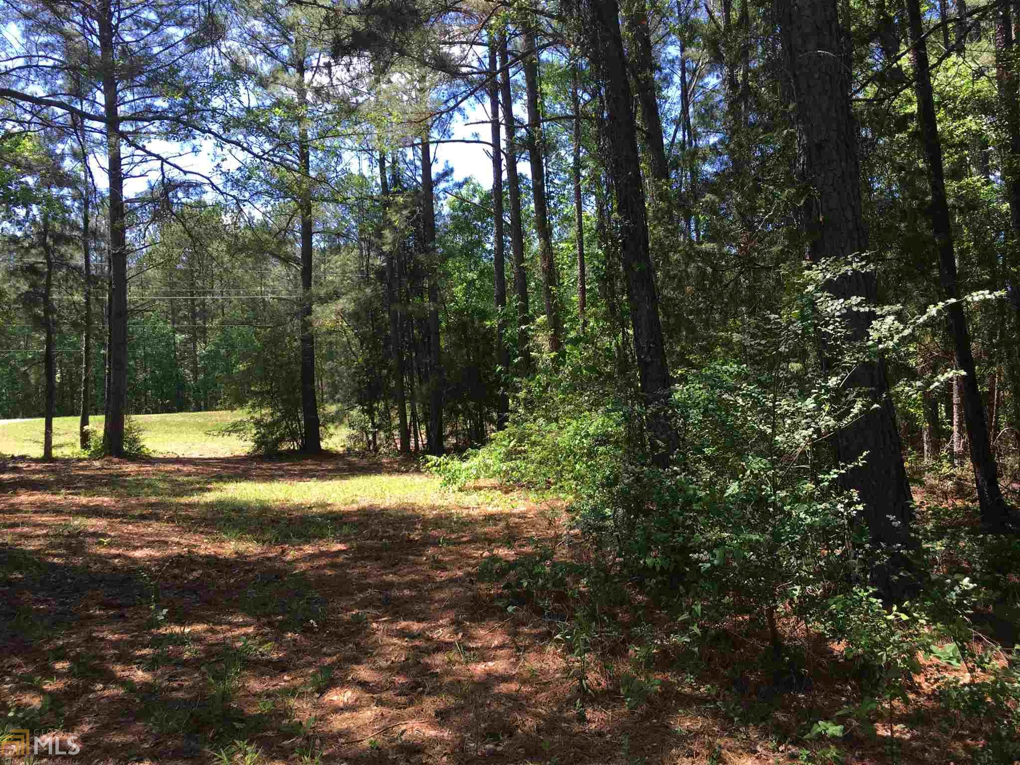 7987 Hamilton Rd, Pine Mountain, GA 31822 photo 15