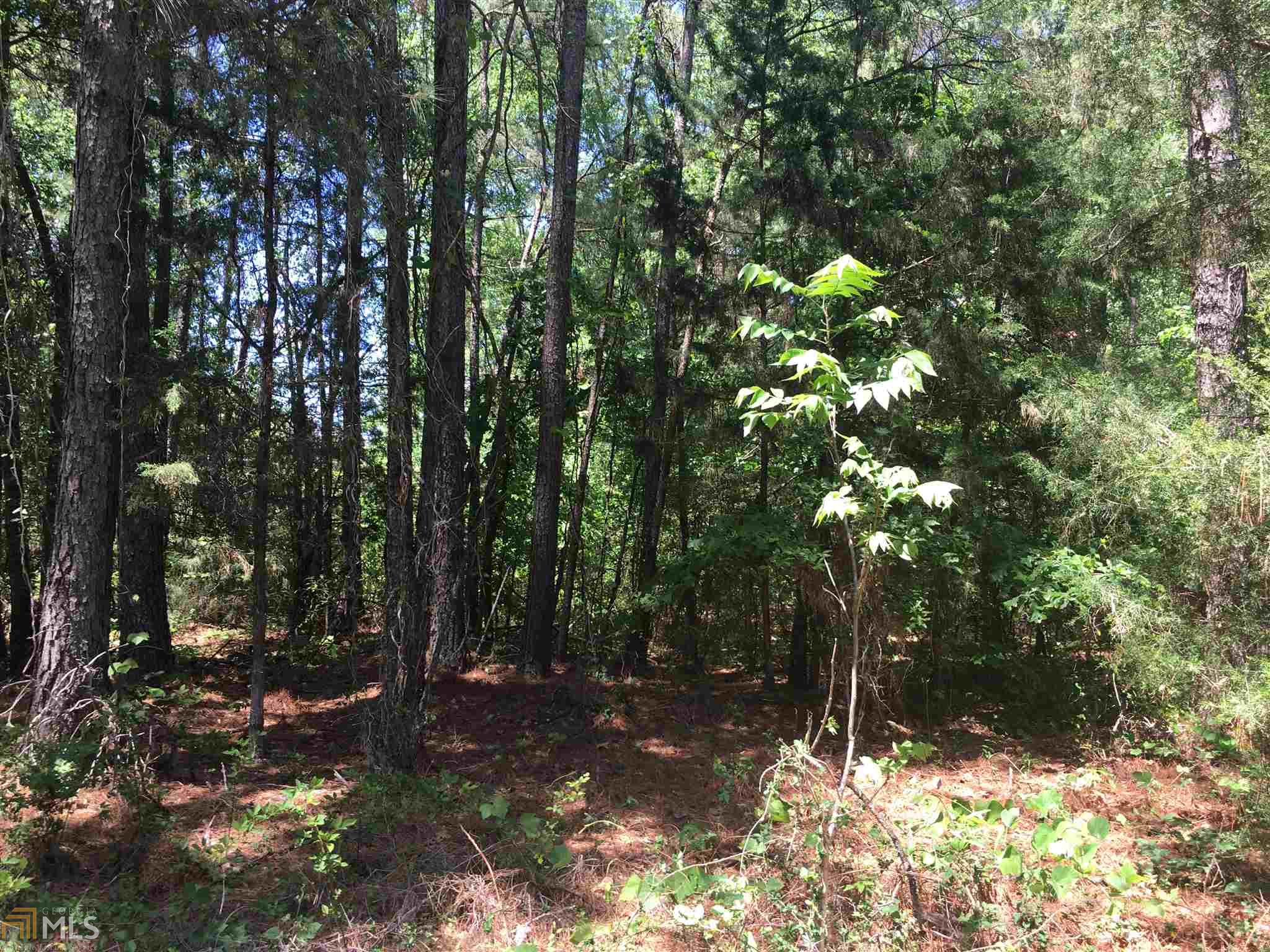 7987 Hamilton Rd, Pine Mountain, GA 31822 photo 16
