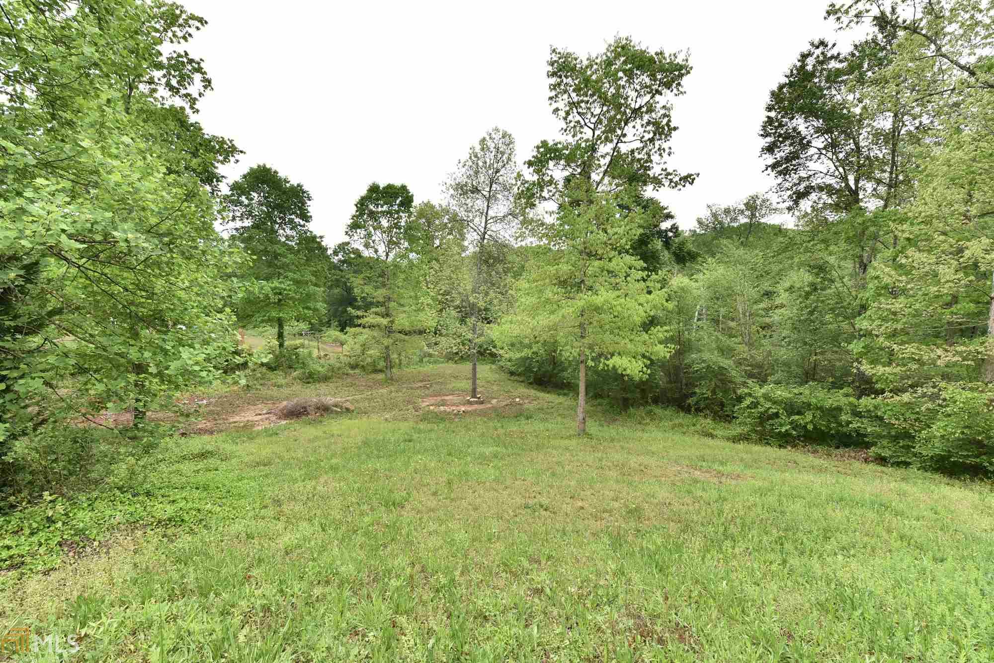 1710 River Bluff Rd, Monroe, GA 30656 photo 36
