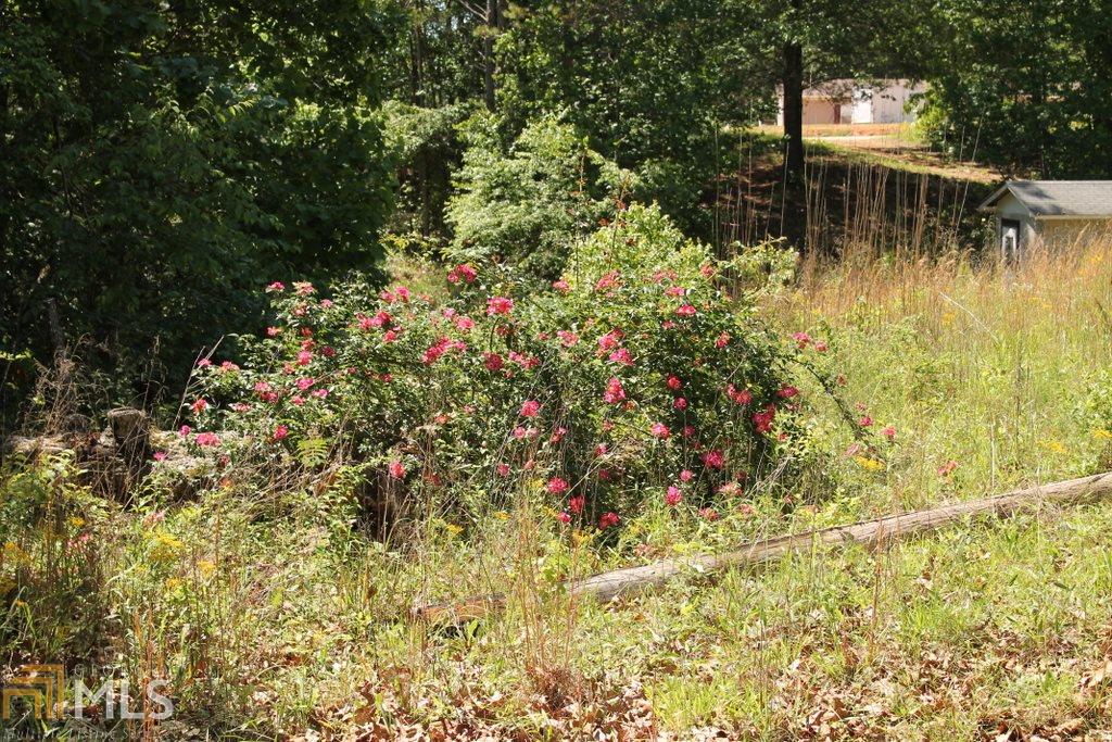 4044 Williams Bridge Rd, Toccoa, GA 30577 photo 11