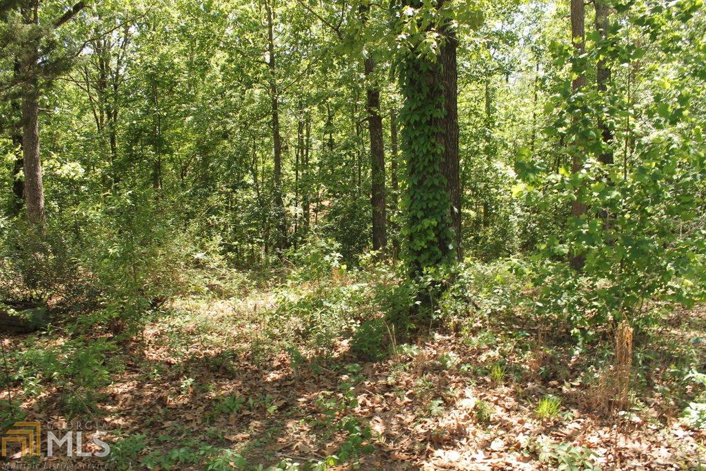 4044 Williams Bridge Rd, Toccoa, GA 30577 photo 6