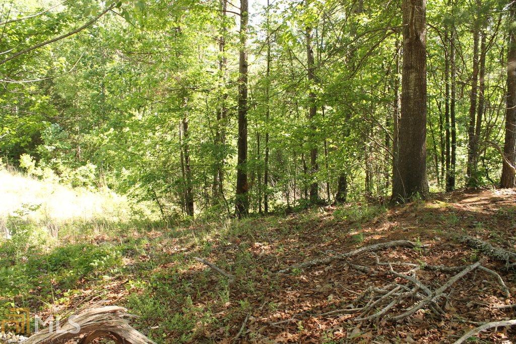 4044 Williams Bridge Rd, Toccoa, GA 30577 photo 13