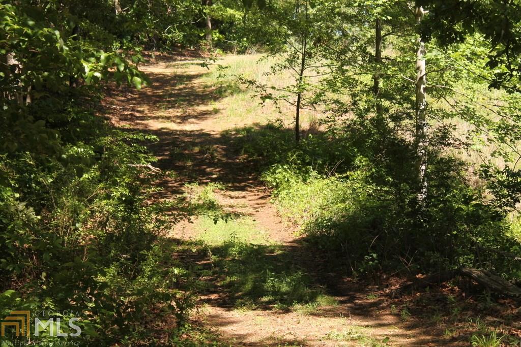 4044 Williams Bridge Rd, Toccoa, GA 30577 photo 8