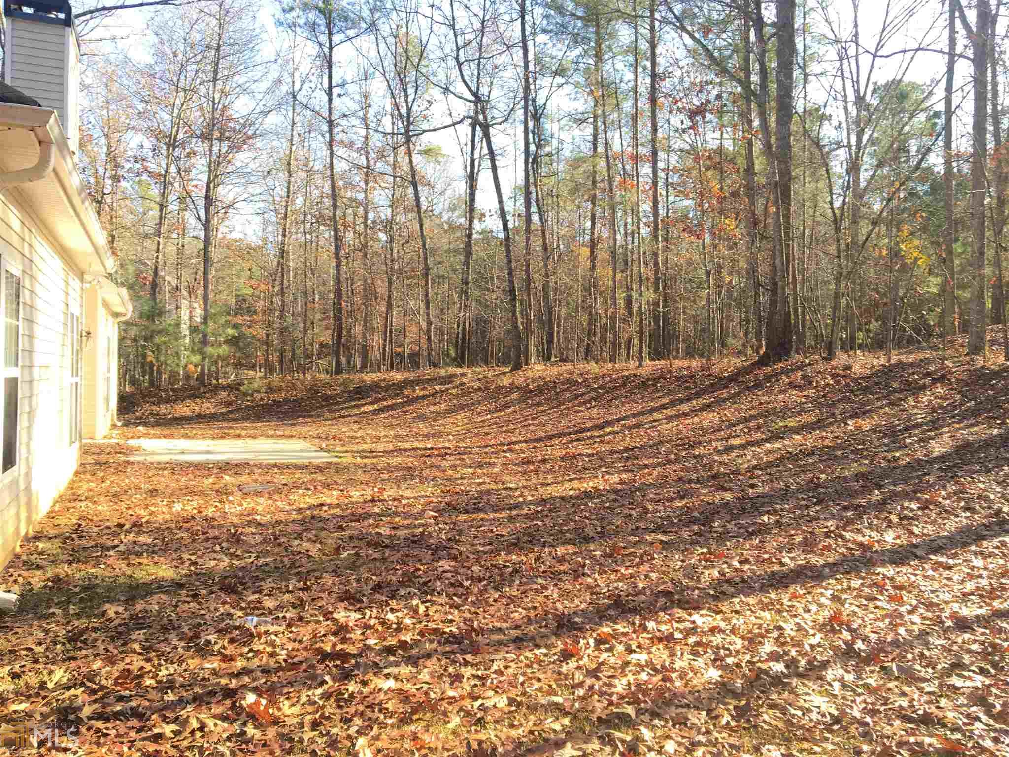 805 Lucas Dr, Hampton, GA 30228 photo 28