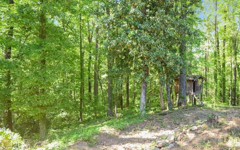 203 Hillendale Dr, Toccoa, GA 30577 photo 34