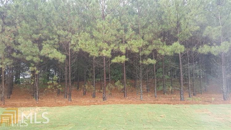 2381 Foxy Dr, Bethlehem, GA 30620 photo 14