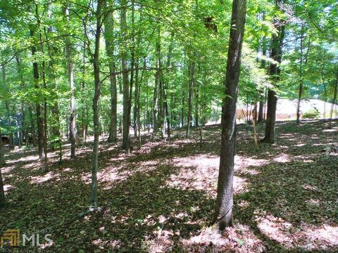203 S Pine Cove Dr, Lagrange, GA 30240 photo 2