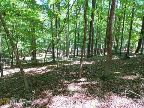 203 S Pine Cove Dr, Lagrange, GA 30240 photo 3