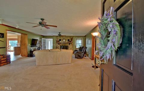 358 Brooks Rd, Brooks, GA 30205 photo 4