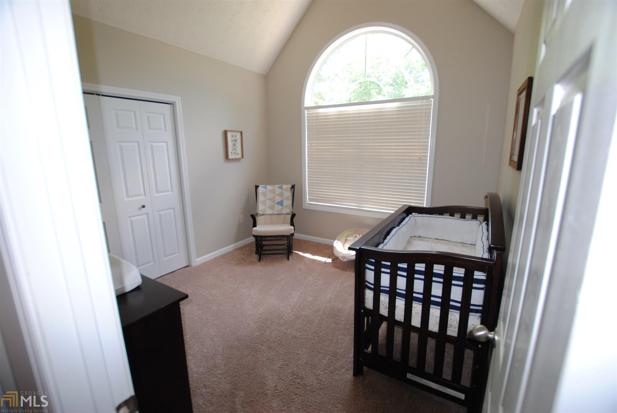 208 Chinns Way, Hampton, GA 30228 photo 18