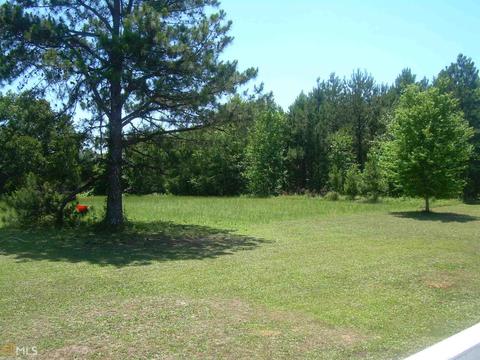 61 Beeks Cir, Williamson, GA 30292 photo 12