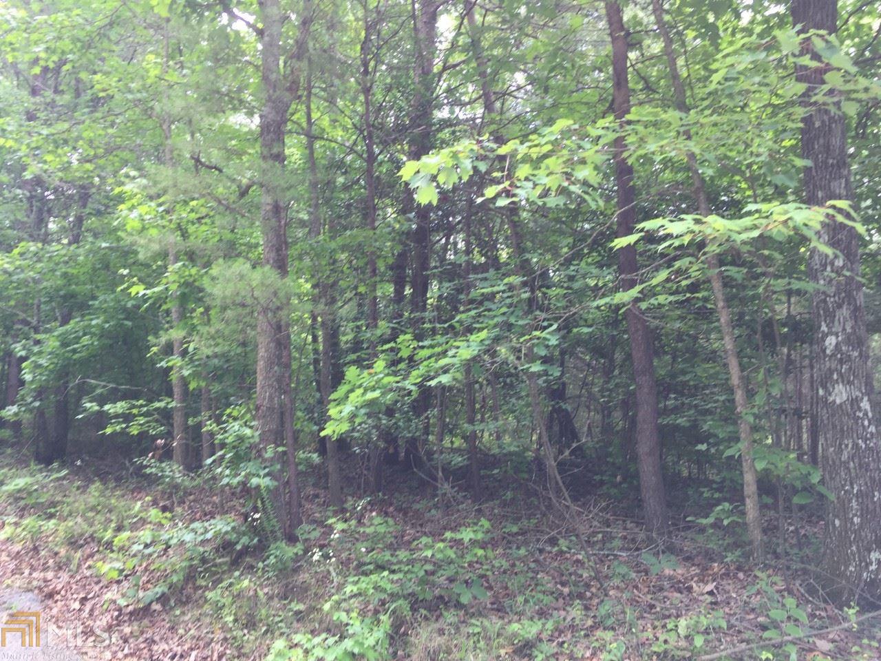 74 Beaver Ridge Rd, Jasper, GA 30143 photo 8