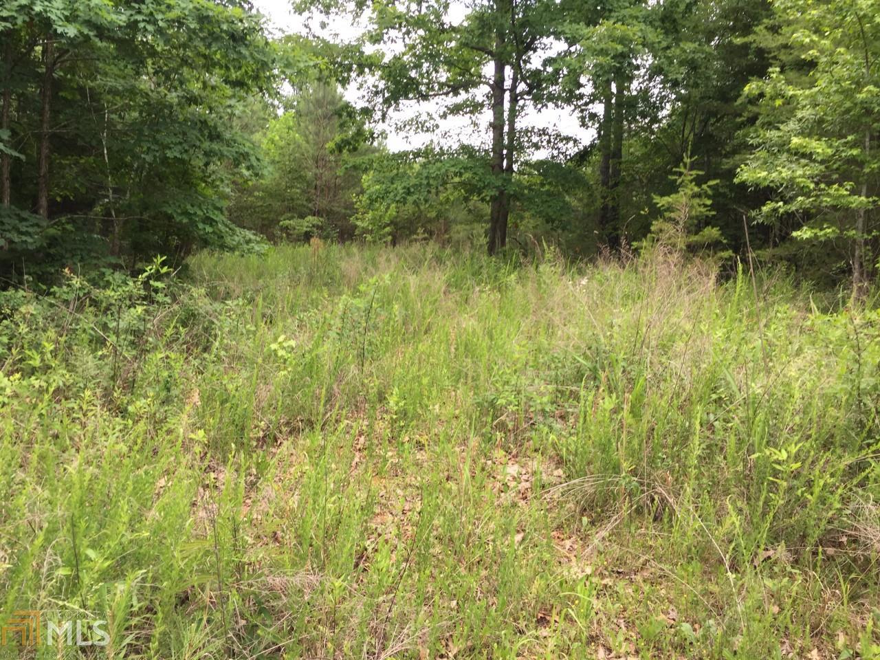 74 Beaver Ridge Rd, Jasper, GA 30143 photo 14
