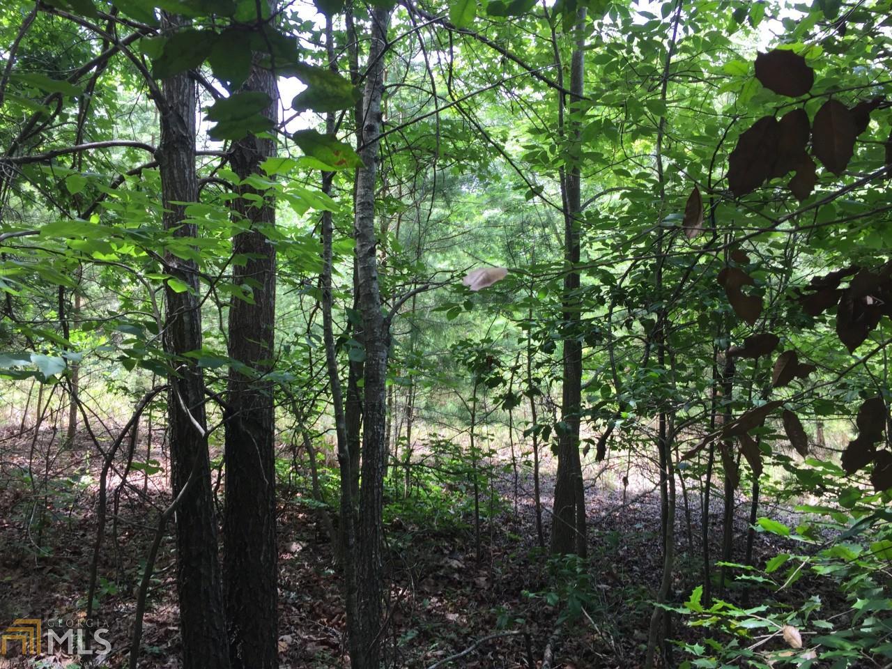 74 Beaver Ridge Rd, Jasper, GA 30143 photo 6